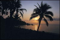 Samui Park Resort - Sunrise