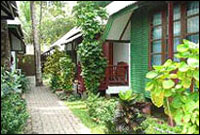 Sand Sea and Spa Resort - Standard Garden View