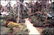 Railay Village Resort Railay Beach Krabi