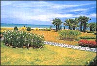 Botany Beach Resort Pattaya