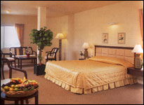 Central Pattaya Hotel - Room