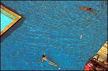 Jomtien Thani Pattaya Hotel - Swimming Pool