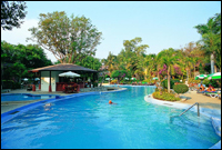Swimming Pool - Loma Resort & Spa Pattaya