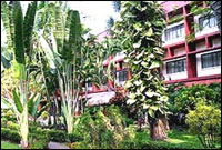 Nova Lodge Hotel, Pattaya - Garden