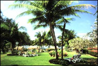 Pinnacle Jomtien Resort & Spa, Pattaya - Garden View