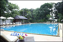 Swimming - Royal Orchid Resort Pattaya
