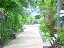 White House Resort, Pattaya - Garden View