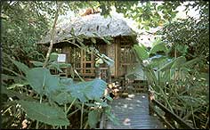 Bangsak Beach Resort Phang Nga - Standard  Bungalow