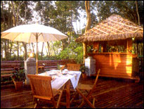 Khao Lak Resort - The Khao Lak Bar