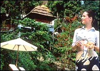 Amari Coral Beach Resort, Phuket - The Sivara Spa