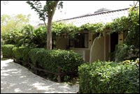 Standard - Kata Country House Phuket