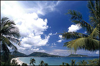 Novotel Coralia Phuket - Beach View