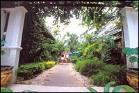 Sea Sun Sand Resort & Spa, Phuket - Garden