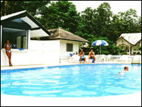 Malibu Garden Resort - Swimming Pool