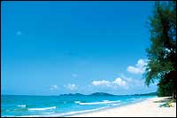 Palmeraie Beach Hotel - Beach