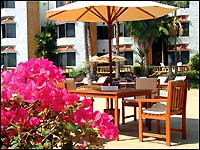 Palmeraie Beach Hotel - Dining