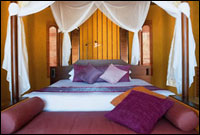 Paradee Resort & Spa, Ko Samet - Room