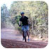 MTB 1 / Taling Chan Trail **Half Day**