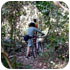 MTB 2 / Khao Yai National Park **2 Days 1 Night**