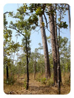 Nam Nao National Park