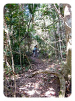 Nam Nao National Park