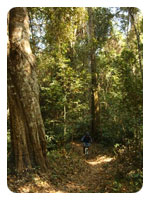 Nam Nao National Park