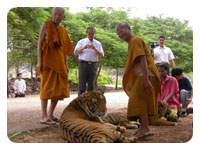 Tiger Temple