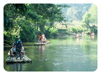 Bamboo Rafting