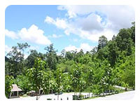 Vachiratharn waterfalls