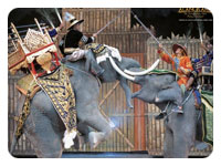 The Extravaganza Show Pattaya Thailand