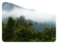 Khao Yai National Park