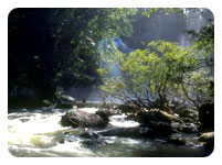 Khao Yai National Park