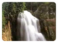 Khao Yai National Park