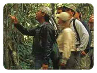 Khao Yai National Park