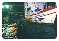 Squid catching & Deep sea fishing & seafood dinner