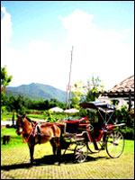 Belle Villa Resort, Pai - Facilities