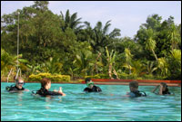 Dive Course