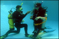 Dive Course