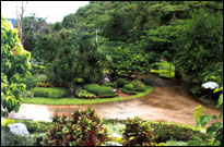 Juldis Khao Yai Resort & Spa Hotel - Garden