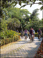 An adventure mountain-bike riding