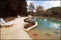 Swimming Pool in natural atmosphere