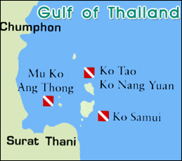 Nang Yuan Dive Resort Surat Thani - Map