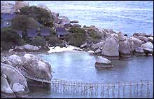 Nang Yuan Dive Resort Surat Thani - Restaurant