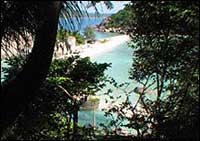 Nang Yuan Dive Resort