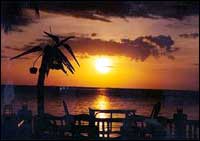 Pha-Ngan Cabana Resort - Sunset Dinner