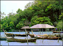 Attractions - Phetra Islands National Park