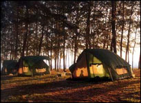 Attractions - Ko Bulon - A group of islands in the Phetra Islands National Park