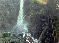 Mae Surin Water Fall