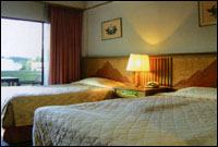 Rooks Holiday Hotel & Resort - Guest Room