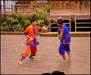 Rose Garden Riverside, Nakorn Pathom - Cultural Show